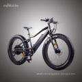 48V1000W Bafang Mid Drive neues Design Fett elektrisches Fahrrad mit versteckter Batterie